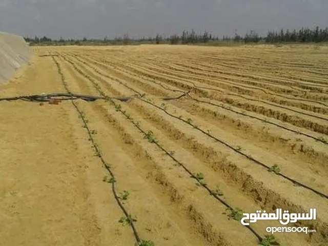 Farm Land for Sale in Suez Other