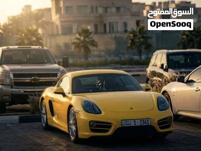 2014 بورش اخرى Other