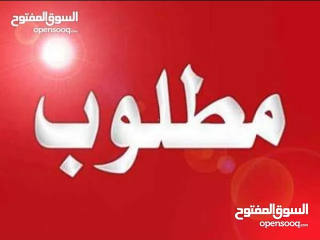 مطلوب حبشه راقده