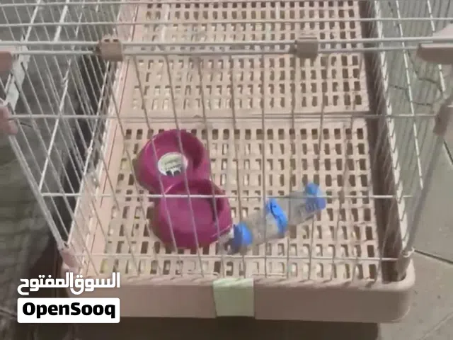 قفص ارانب Rabbit cage for sale