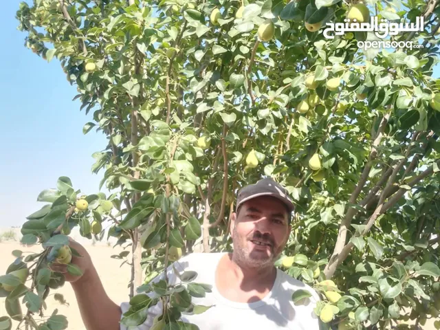 مزارع خبرة في الزراعه