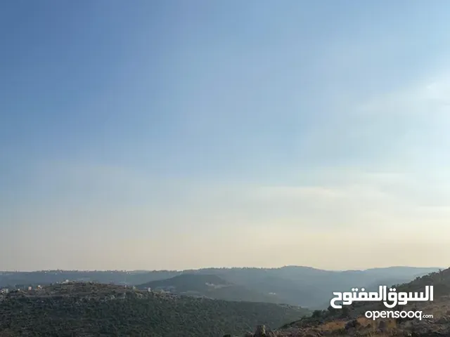 أرض تصنيف بناء للبيع في اجمل مواقع فرخة