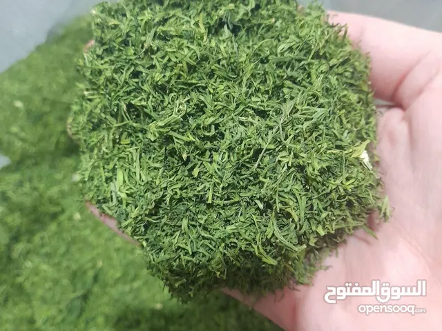 أرز بالشبت المجفف مع التمر الجديد