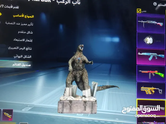 Pubg Accounts and Characters for Sale in Basra