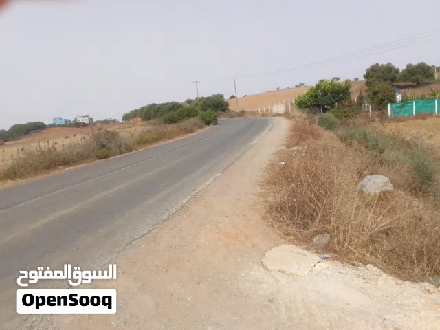 بقعة 1306 متر على الطريق فالاحدالغربية أصيلة