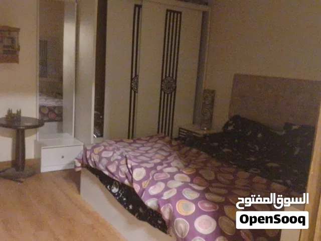 استديوهات مفروشه يومي بي اسعار ممتازه