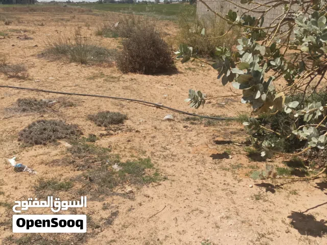 قطعه ارض للبيع في الحمرونيه في قصر بن غشير في حي سكني كهربا ميه النهر واصله في القطعه