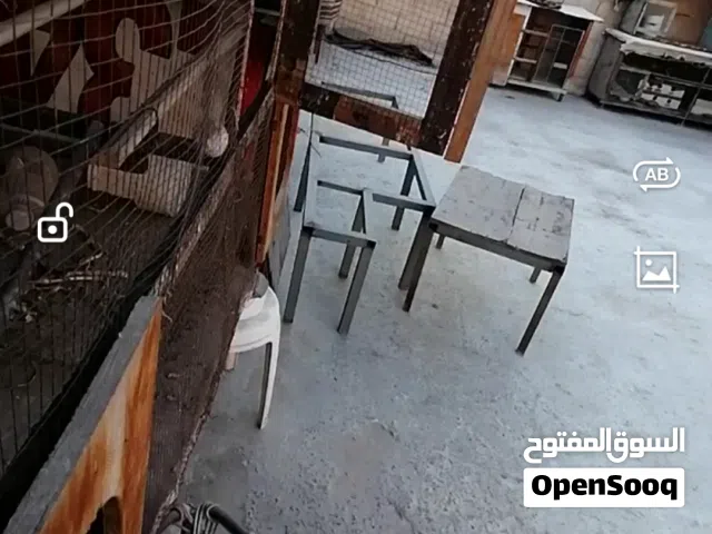 مطير حديد للبيع