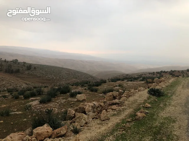 ارض في منطقة عراق الامير تحديدا ام المدارس