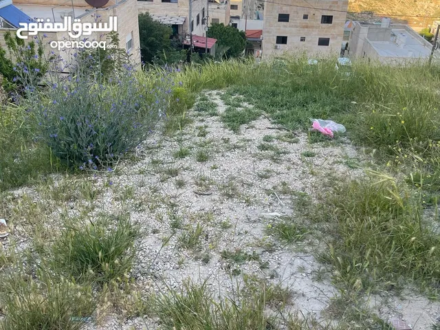 Residential Land for Sale in Amman Jubaiha