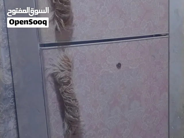 ثلاجه كبيره 75