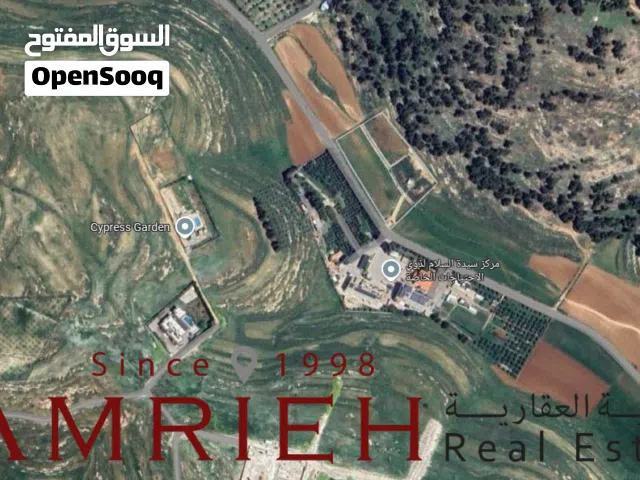 ارض 4330 م للبيع في ناعور (ام رمانة) / بالقرب من كنيسة دار السلام (بالعالي)