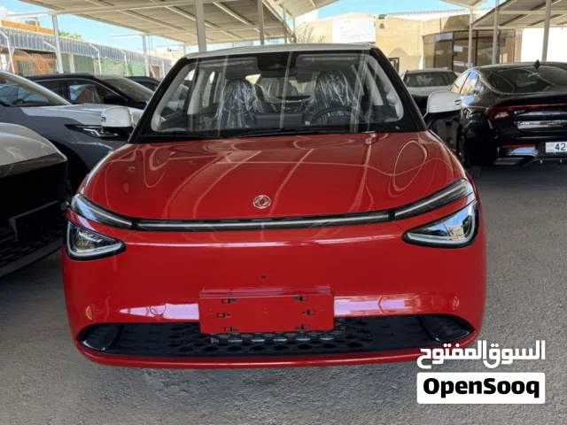 2026 Dongfeng Nammi Box