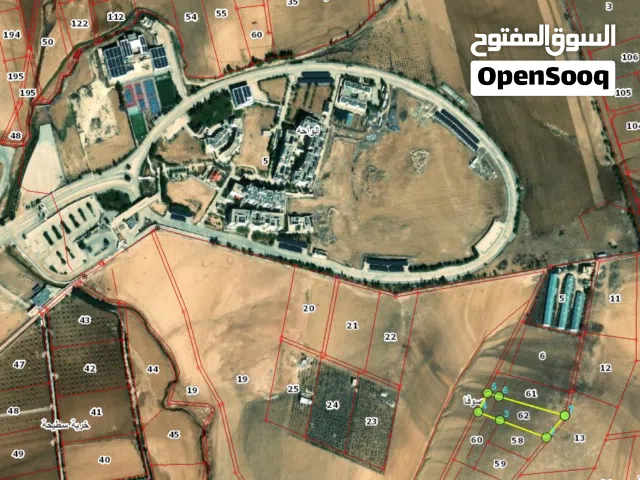 أرض بجانب الجامعة الامريكية