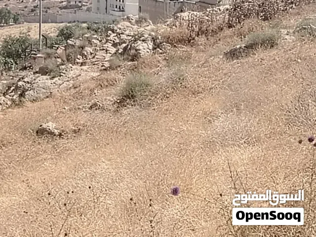 Farm Land for Sale in Jerash Other