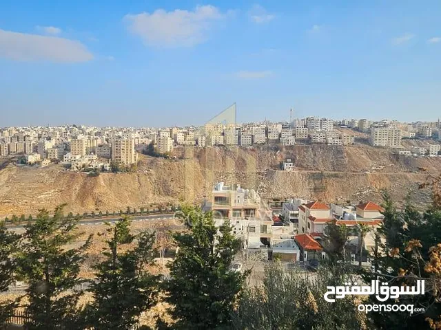 455 m2 4 Bedrooms Apartments for Sale in Amman Abdoun