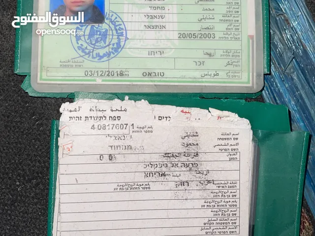 محمود مصطفى شنابلي
