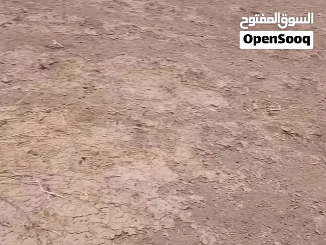 Farm Land for Sale in Khartoum Jabal Awliya