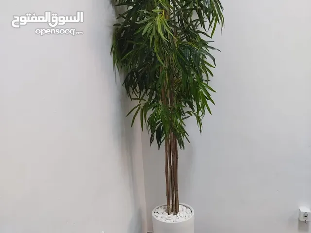 Plante bambou artificiel de très belle qualité, idéale pour la décoration intérieure ou extérieure.