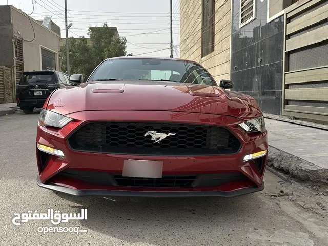 Used Ford Mustang in Baghdad