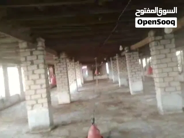 Mixed Use Land for Rent in Alexandria Borg al-Arab