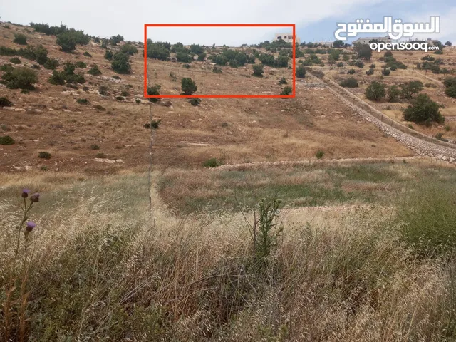 ارض مميزه مرتفعة وعلى تلة عجلون ، صخره