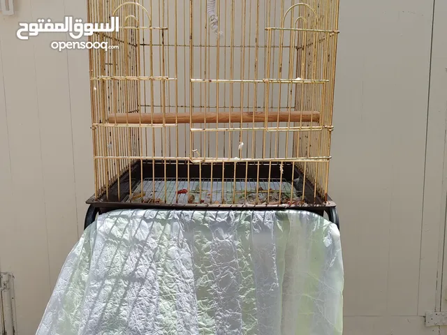 Parrot cage