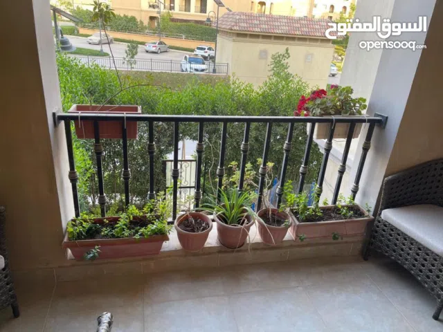 200 m2 3 Bedrooms Apartments for Rent in Cairo Fifth Settlement