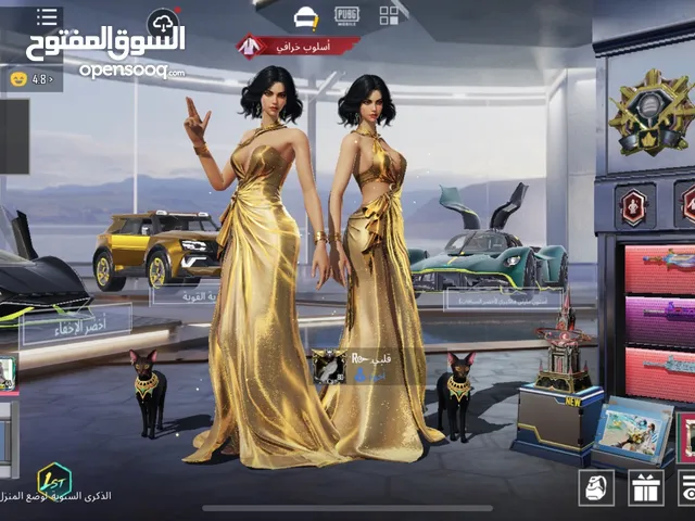Pubg Accounts and Characters for Sale in Amman