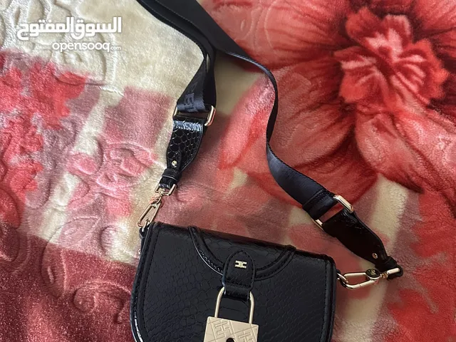 elisabetta franchi bag