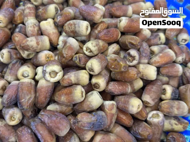 سح نغال انتاج هذي السنه