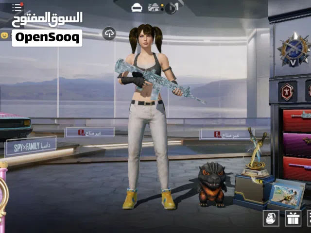 Pubg Accounts and Characters for Sale in Doha