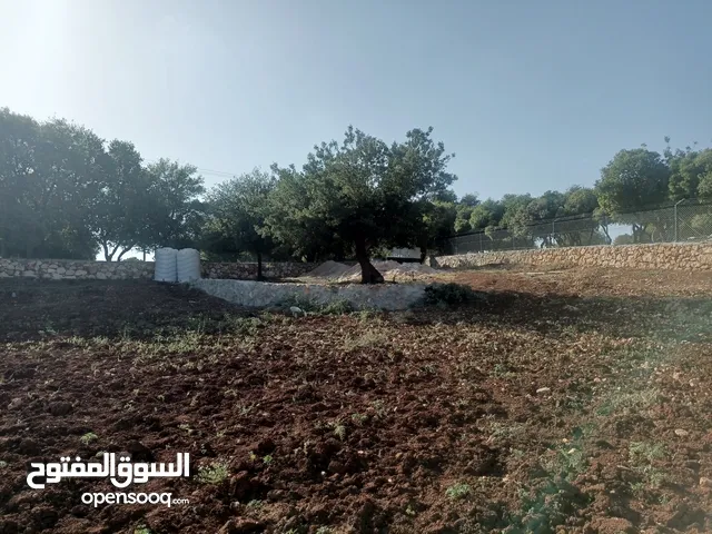 Mixed Use Land for Rent in Salt Jala'd