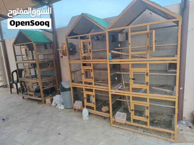 اقفاص طيور وملحقاته القفص الواحد 10.500 الموقع .بركاء / حي عاصم