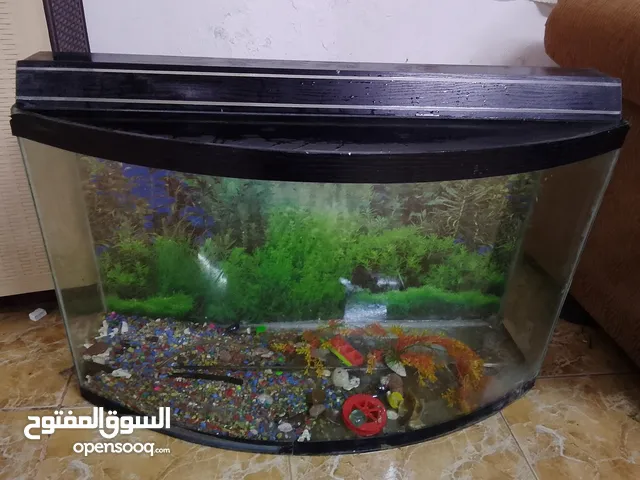 حوض سمك كبير طوله متر عرضه متر ونص