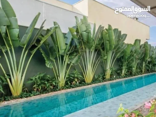 جارديني او بستاني