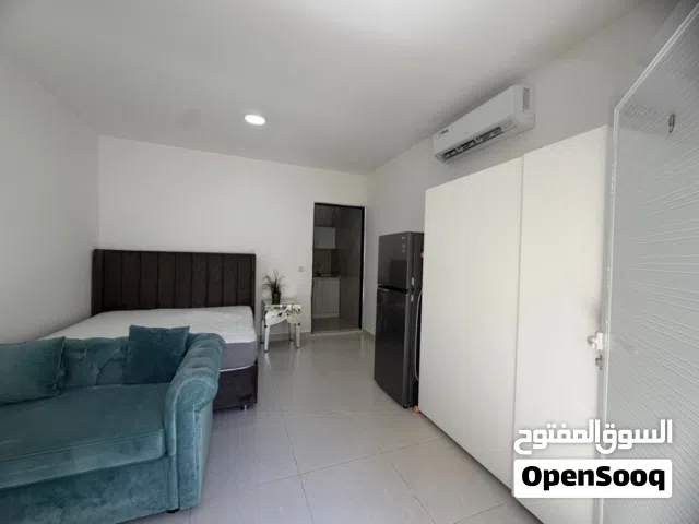 Furnished studio apartment for rent in Khalifa A