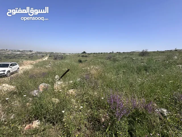 Farm Land for Sale in Tulkarm Al Ras