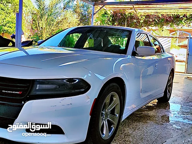 دوج جارجر 2019 كندي بدون صبغ فقط تعديل بارد