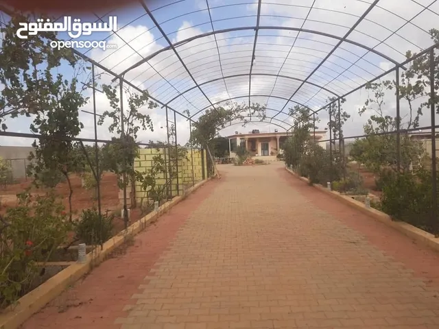 2 Bedrooms Farms for Sale in Benghazi Bu Hadi