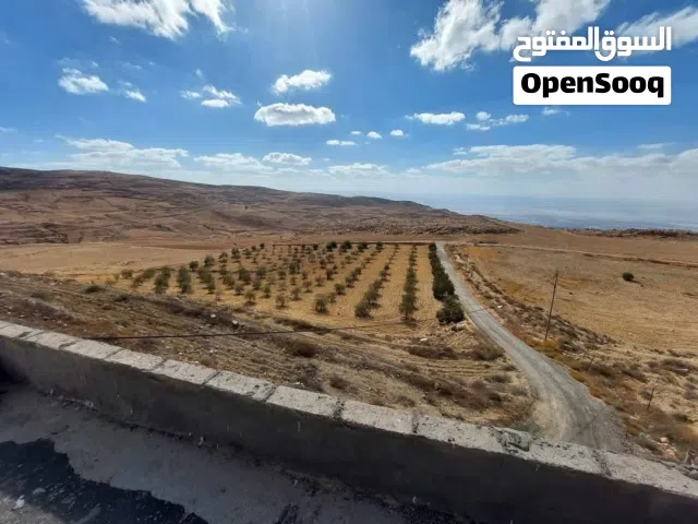 ارض زراعيه للبيع الطفيله