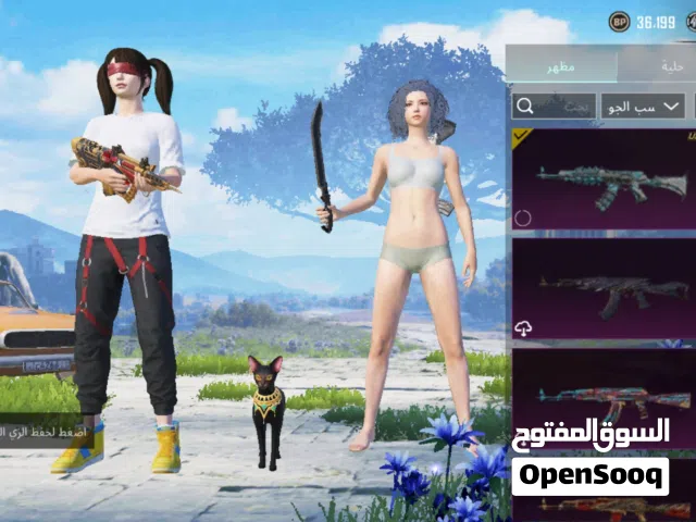 حساب ببجي للبيع الفين ريال