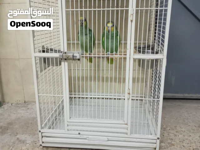 قفص للبيع مال كاسكو