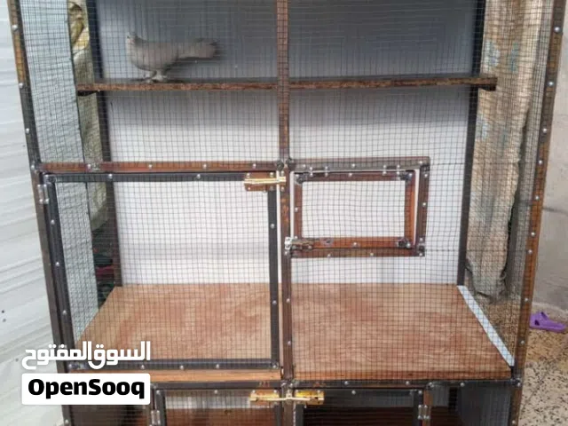 قفص طيور مرتب