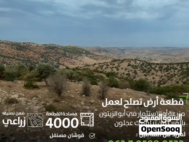 Farm Land for Sale in Ajloun Downtown