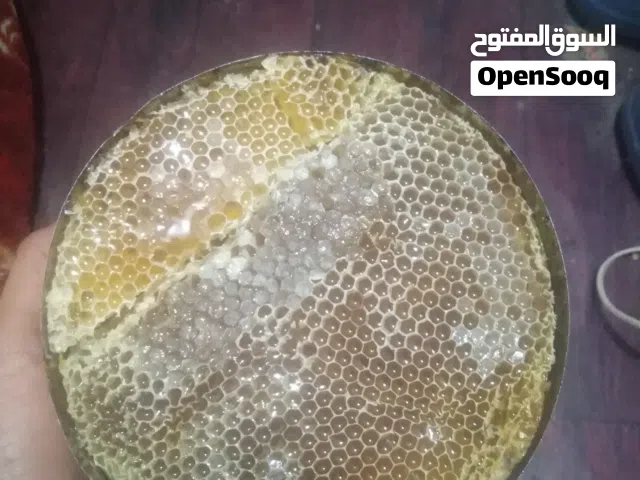 النحال الحضرمي للعسل اليمني بجميع انواعه أفخر انواع العسل اليمني