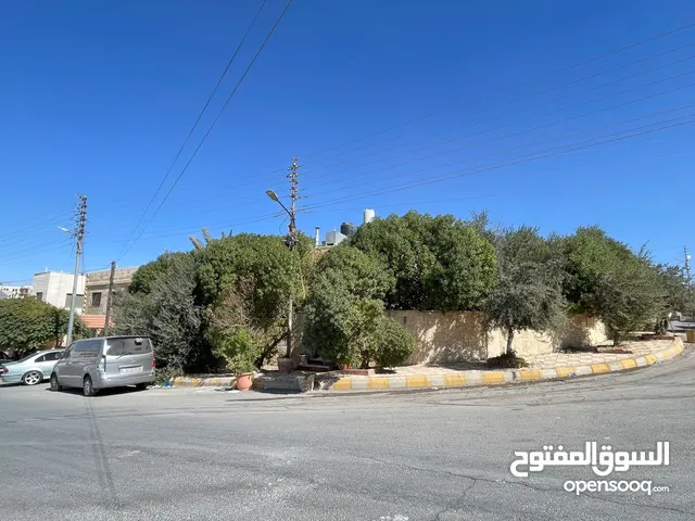 بيت عباره عن فيلا للبيع في الجويده قرب مسجد منور الحديد سعرمغري جدا