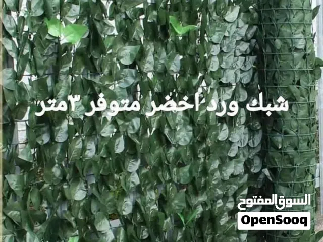 رول ورق شجر اخضر كثيف