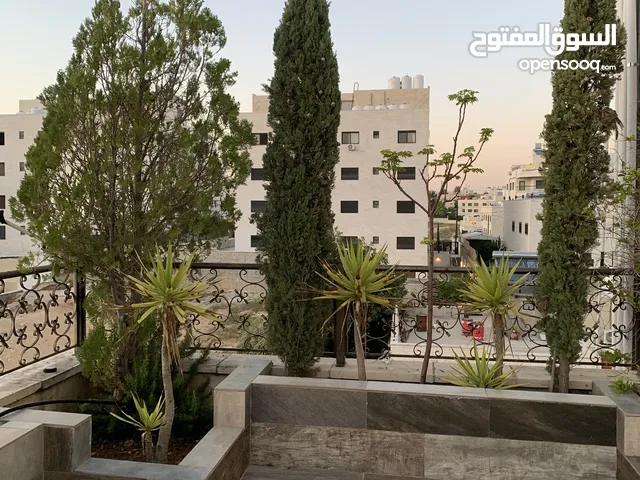 شجر سرو للبيع في البنيات