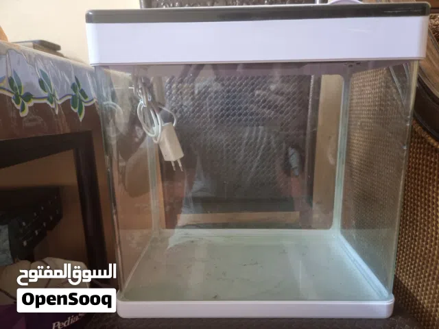 Medium Size Aquarium
